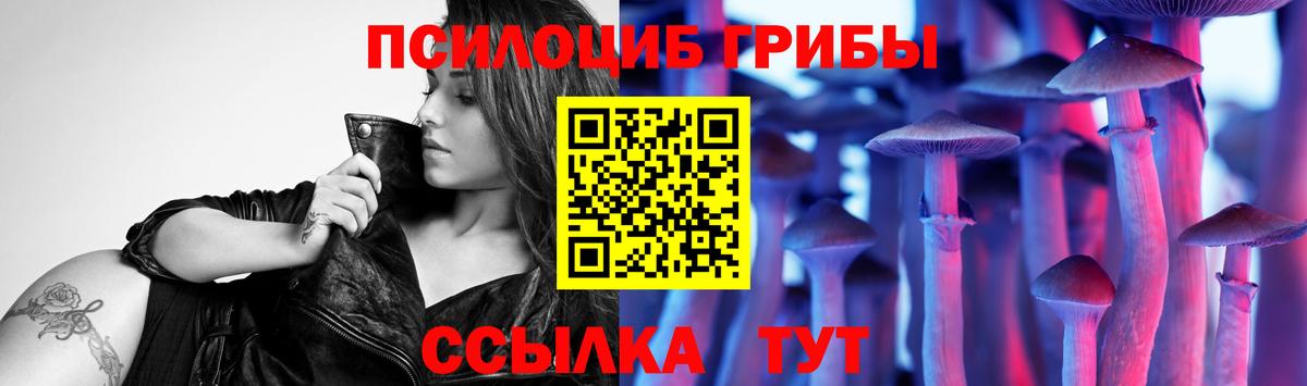 Псилоцибиновые грибы мицелий  Галлюциногенные грибы Cubensis  цены   Вход с VPN  Белореченск 